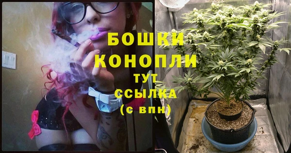 дживик Гусиноозёрск