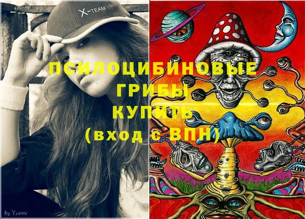 кристаллы Гусь-Хрустальный