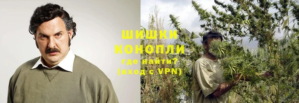 трава Гусев